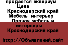 продается аквариум › Цена ­ 10 000 - Краснодарский край Мебель, интерьер » Прочая мебель и интерьеры   . Краснодарский край